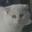 Craig R. H. Laurent's profile image