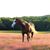 Joanna Gawrys's profile image