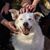 Claire Ouimet Coller's profile image