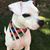 Mandy Spinks-Heath's profile image
