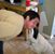 Gina Pardini's profile image