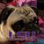 Shannon Vaughn's profile image