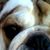 D'Anne Ward's profile image