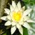 Ushan Govender's profile image