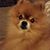 Linda Douglas's profile image