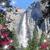 Sheryl Walker Wakeman's profile image