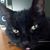 Karen Humes's profile image