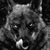 Brett LaPorte's profile image