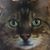JennyLee Smallman's profile image