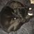 Riley Radermacher's profile image