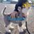M Kenedy Perezz's profile image