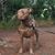 Sarah Solowy's profile image