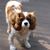 Cyndy Sampson's profile image
