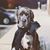 Bane Elizabeth DeHenzel's profile image