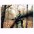 Mark Hudson's profile image