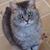 Christine Mediak Keicher's profile image