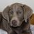 Eric M Ruthman's profile image