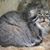 Kelsey Norah McGovern's profile image