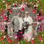 Denise Pozarlik-Falzone's profile image