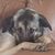 Dani Weaver's profile image