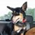 Sarah Frees's profile image
