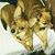 Sherry Dean Bradshaw's profile image