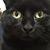 Kelli Bennett Hardisty's profile image