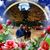 Kim Woodard's profile image