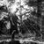 Philip Gestwicki's profile image