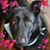 Rhonda Mewhinney's profile image