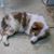 Kimberley Hundt's profile image