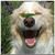 Guy Bliss's profile image