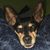 Leanne Thompson-Hill's profile image