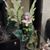 Judy Marie Chesser Miller's profile image