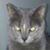 Scott Mendrala's profile image