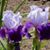 Cathy Brown's profile image