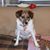 Clara E Smith's profile image