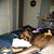 Sandy Knott's profile image
