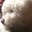 Zoë's profile image