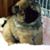 Michele Schmitz's profile image