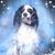Jack Cobb's profile image