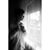 Bálint Borbély's profile image