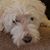 Elizabeth Worthen Porco's profile image