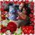 Catherine Colin's profile image