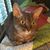 Martha Stroud Merry's profile image