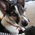 Chandra Hackett-Parkhurst's profile image