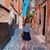 Shelbie Francescon's profile image