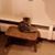 Elizabeth Badoud's profile image