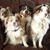 Jane Rasmussen's profile image