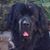 Port Hueneme Newfs's profile image